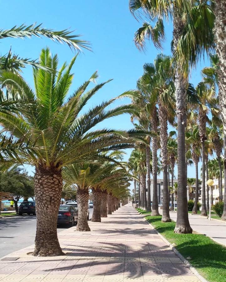 Chill'N Holidays Moncófar Εξωτερικό φωτογραφία